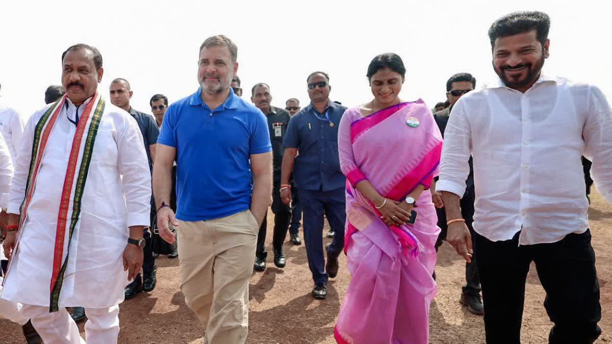 those-who-have-worked-hard-in-the-party-will-definitely-get-results-rahul-gandhi