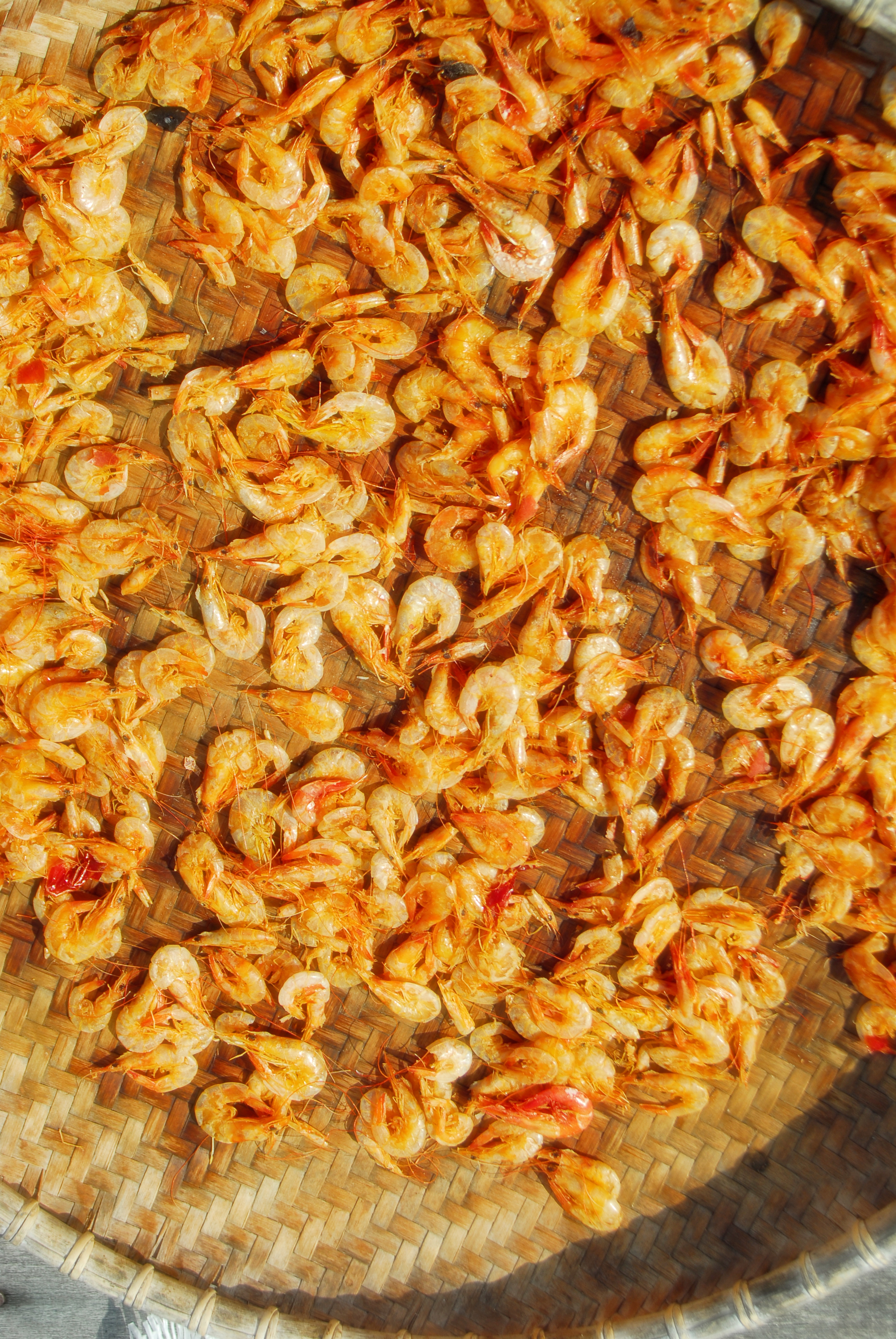 Endu Royyala Pachadi