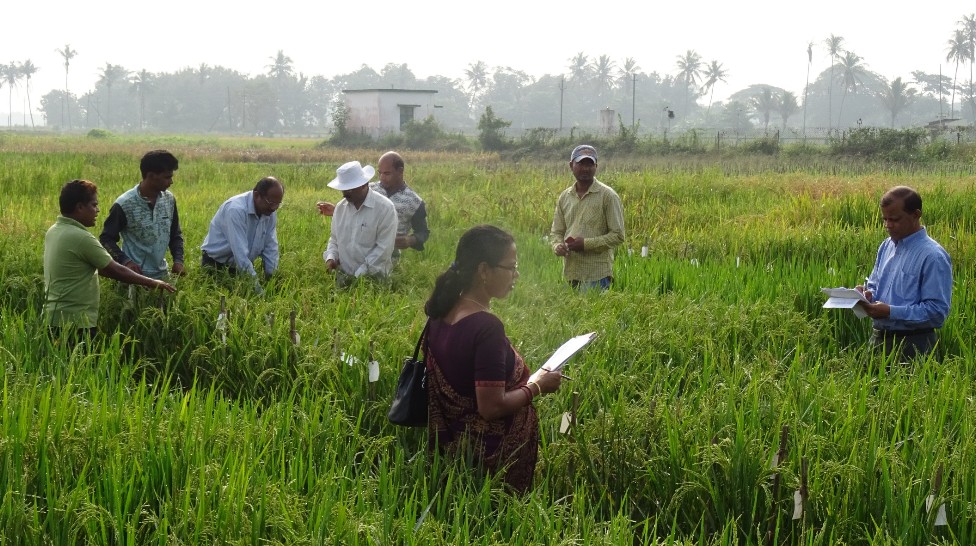 Professor Dr Meera Kumari Kar