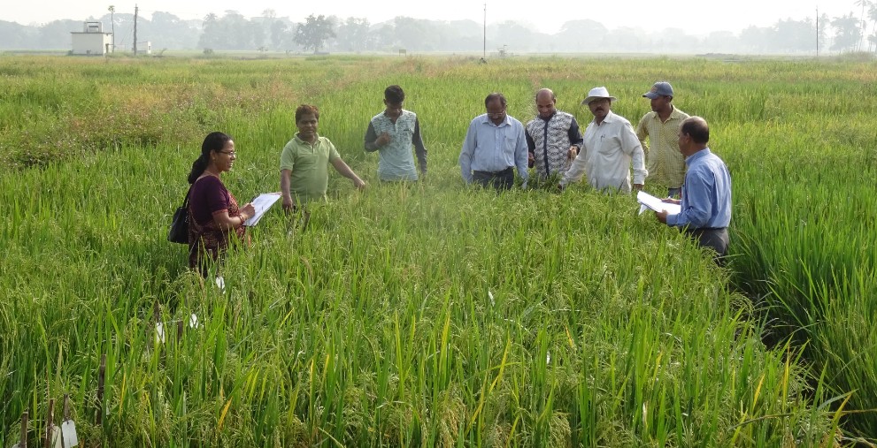 Professor Dr Meera Kumari Kar