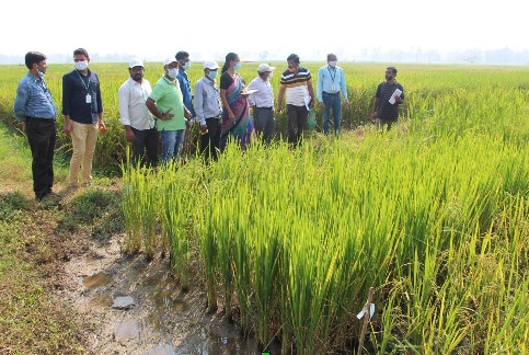 Professor Dr Meera Kumari Kar