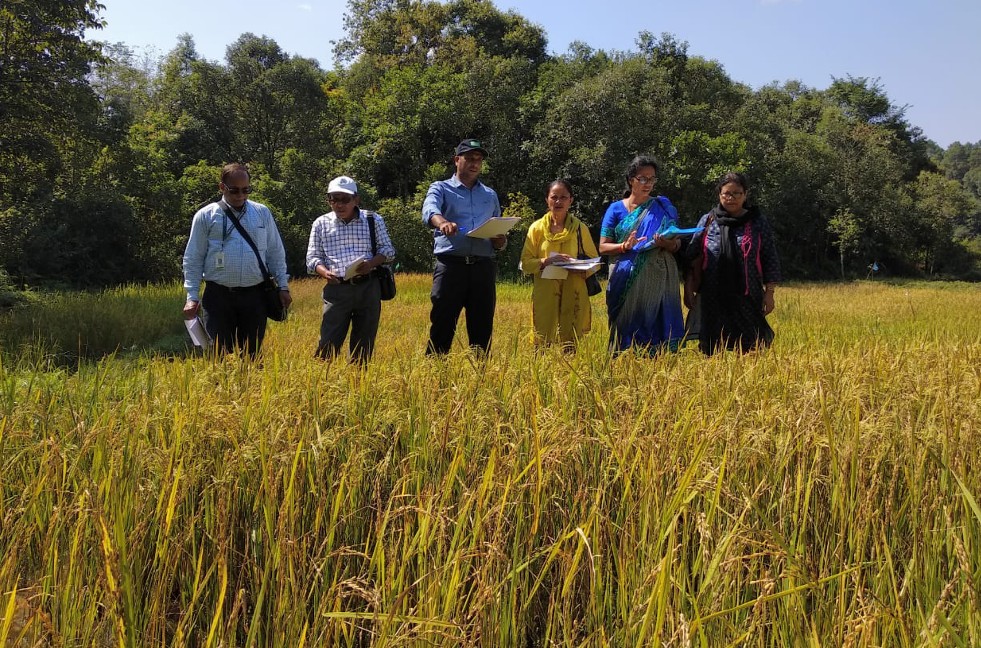 Professor Dr Meera Kumari Kar