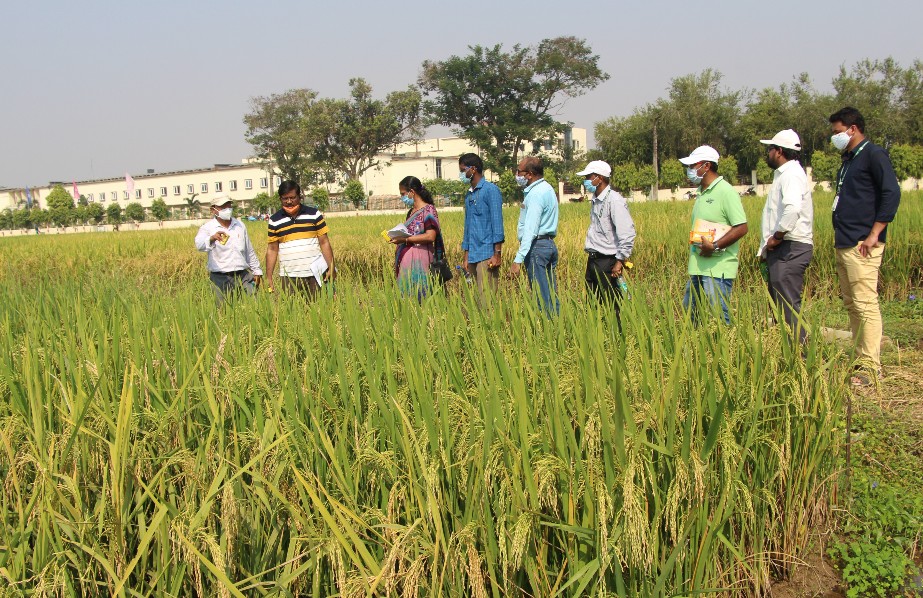Professor Dr Meera Kumari Kar
