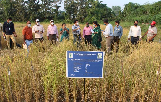 Professor Dr Meera Kumari Kar