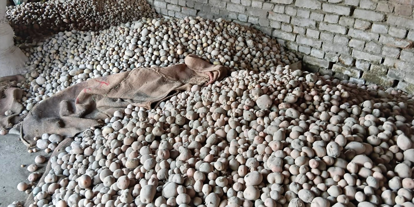 samastipur potato prices