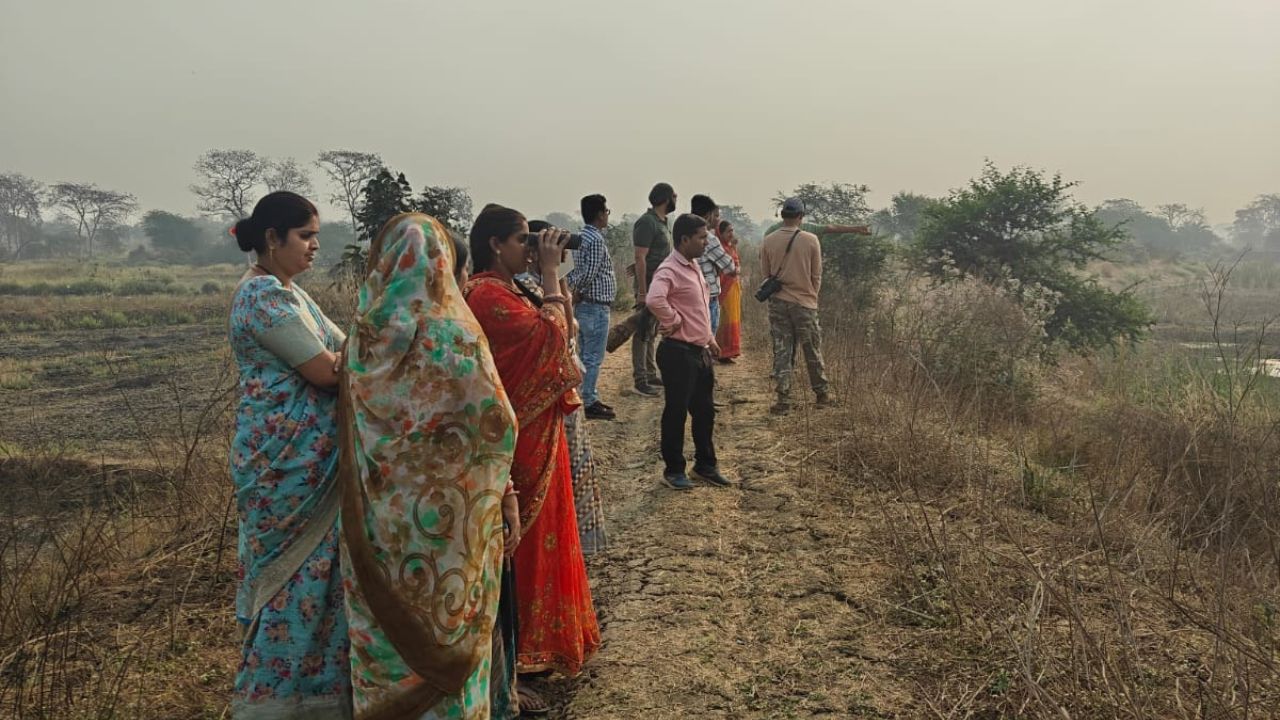 BIRD WATCHING CENTERS