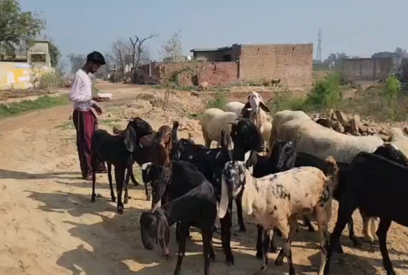GOAT HERDER PASSES JRF EXAM YOUTH