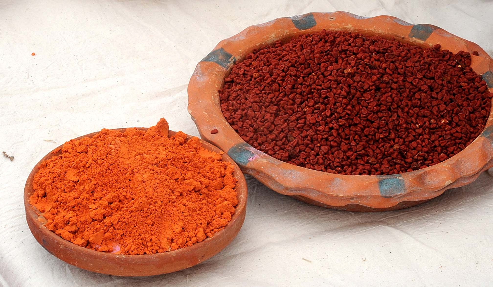 How to Make Natural Colors for Holi 2026