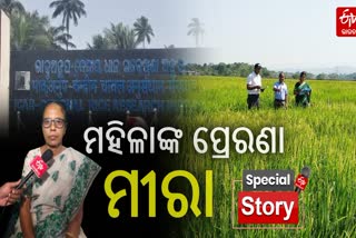 Professor Dr Meera Kumari Kar