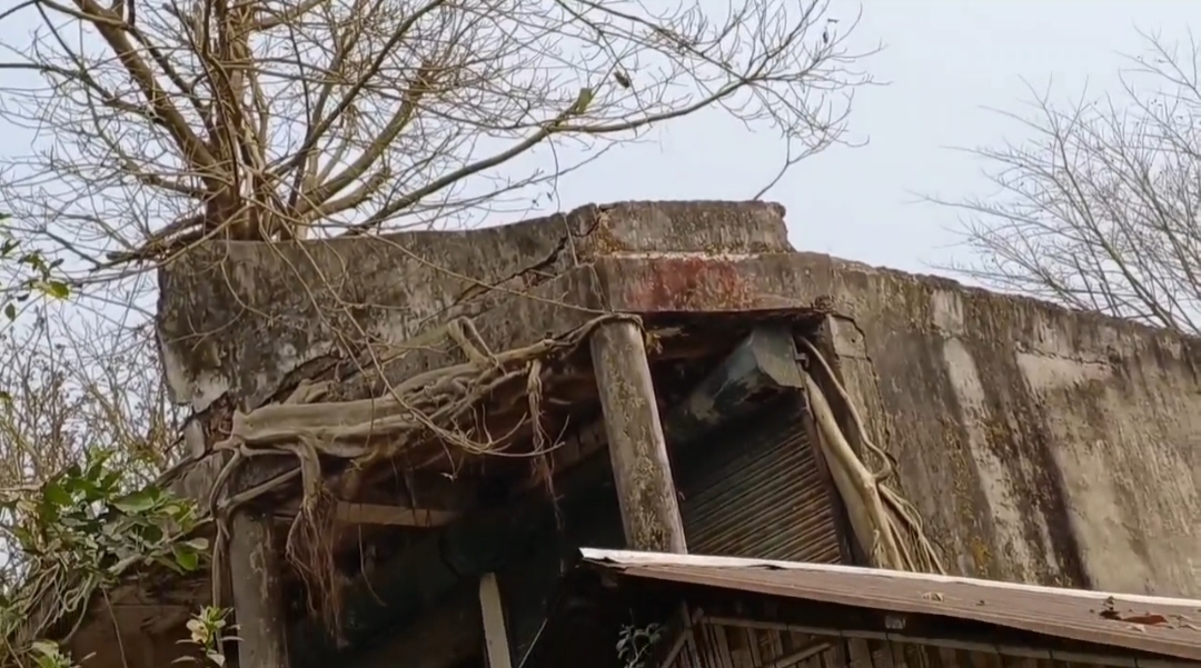 Titabor commercial estate