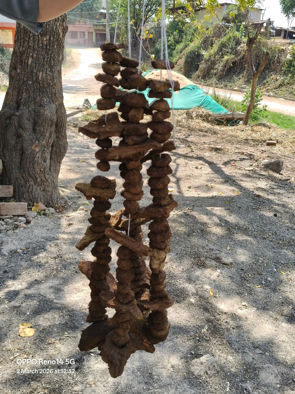 Ratlam badhboliya in Holika Dahan