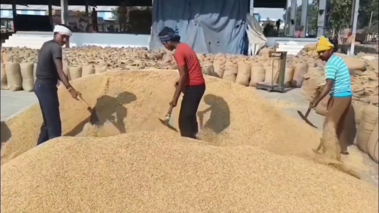 Haryana rice exporters problems