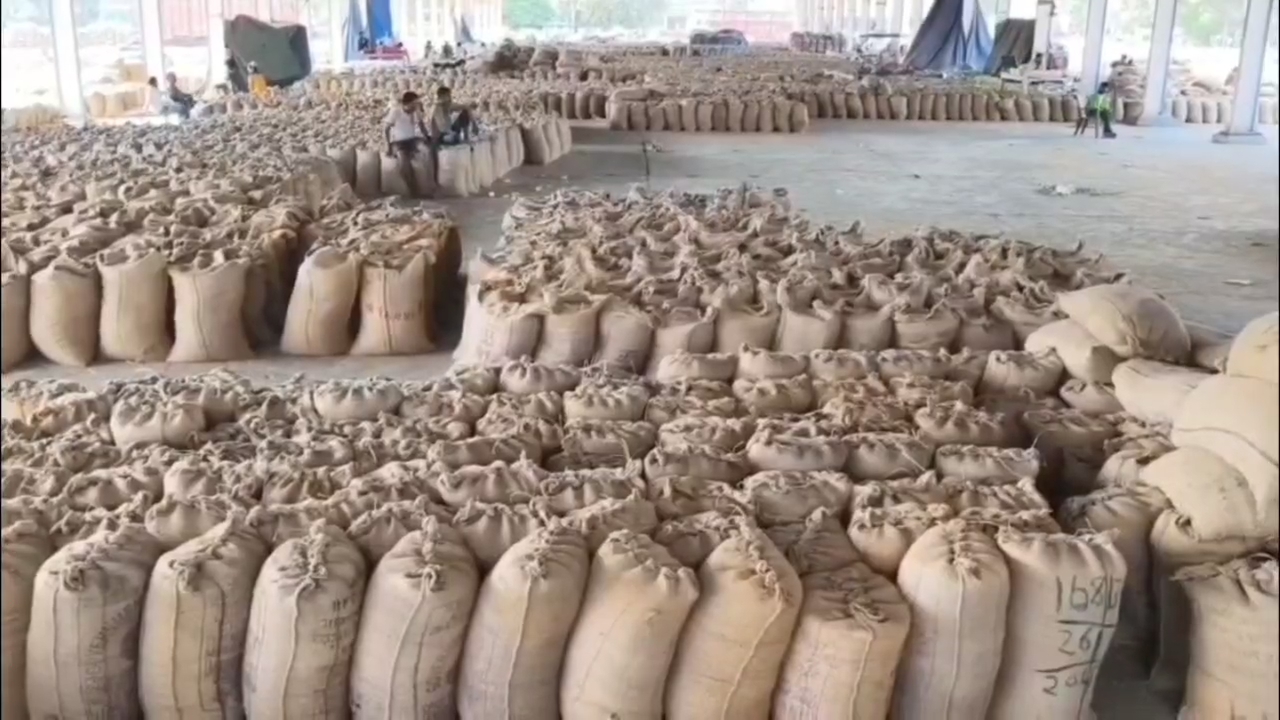 Haryana rice exporters problems