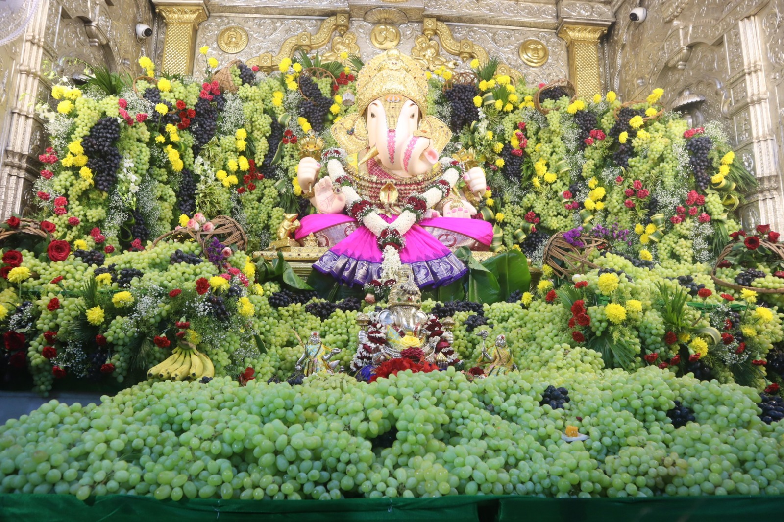 Rich Dagdusheth Halwai offers 2,000 kg of grapes to Lord Ganesha