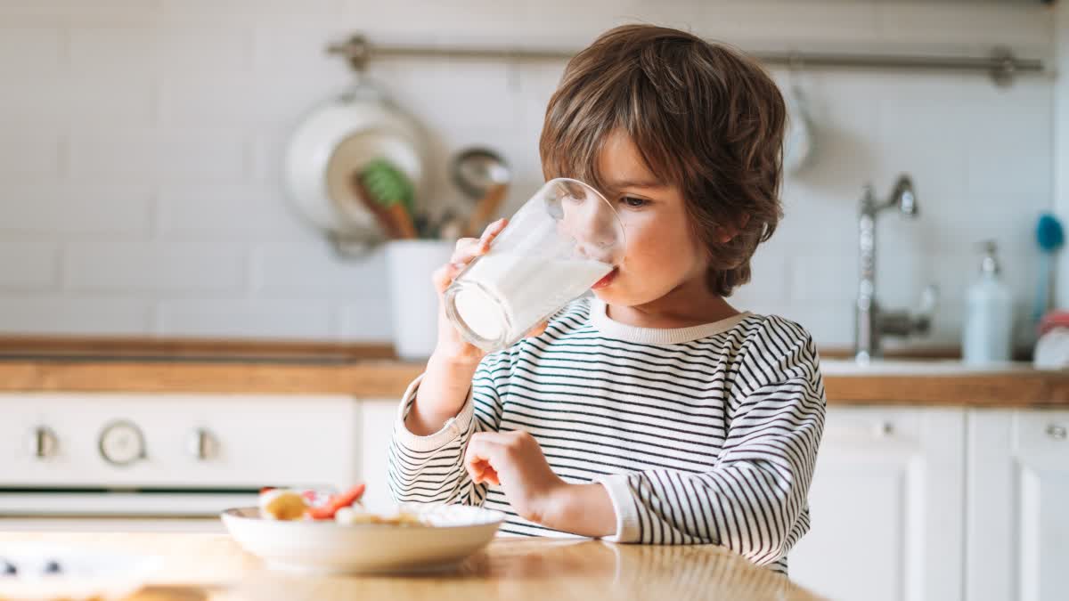 Benefits of Cow Milk  Benefits of Buffalo Milk  Which Milk is Best for babies  ಹಸುವಿನ ಹಾಲು Vs ಎಮ್ಮೆಯ ಹಾಲು