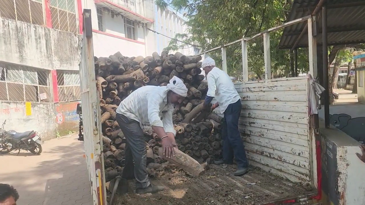 Vidisha Holika Dahan Cow dung wood