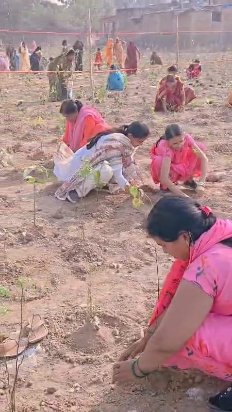 Photo Credit: ETV Bharat