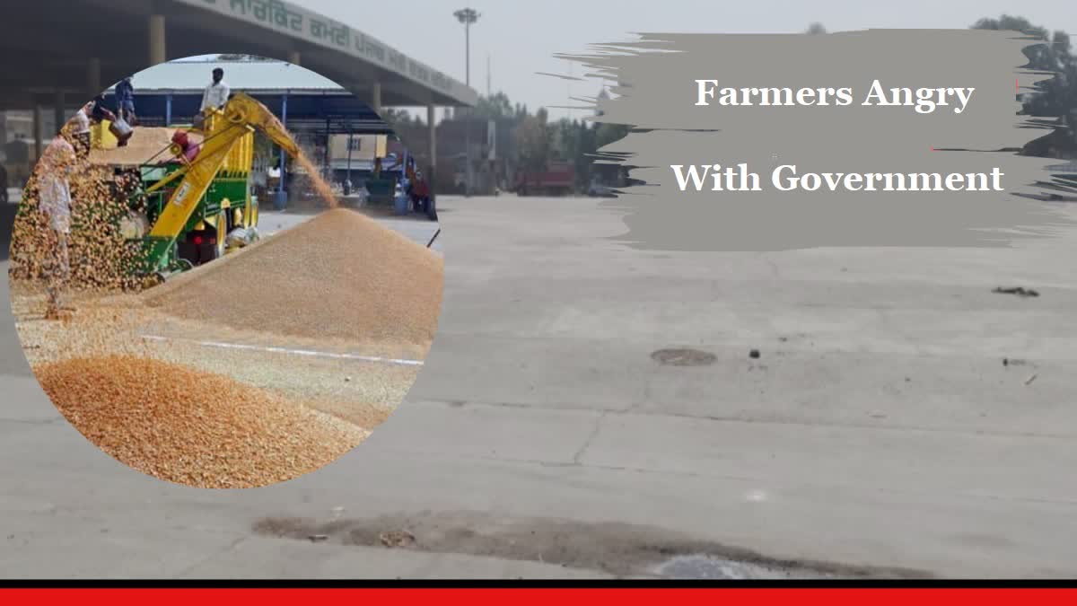 Farmers Question Punjab Government's Wheat Procurement Arrangements