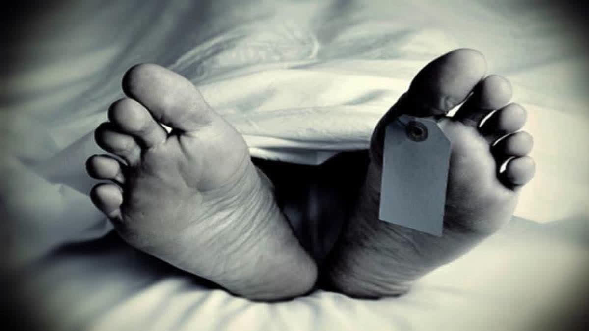 ETV Bharat News - Other - News Image