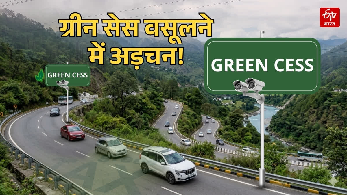 GREEN CESS COLLECTION