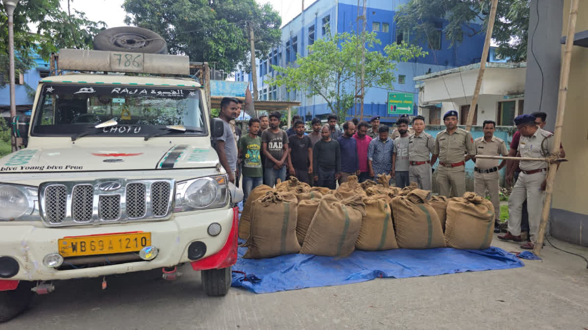 Tea Leaves Stealing Case