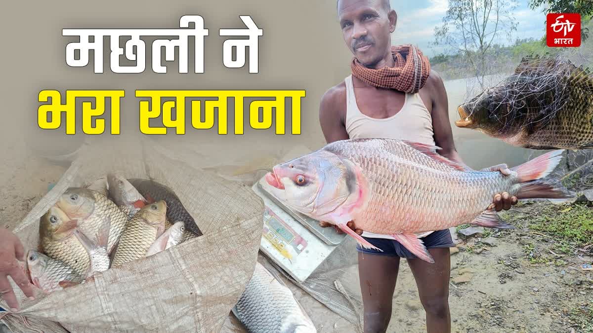 Shahdol Fish Farming earning