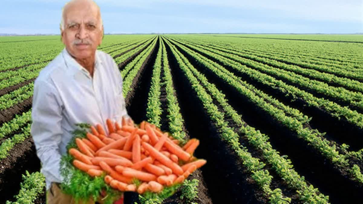 carrot_king_of_india