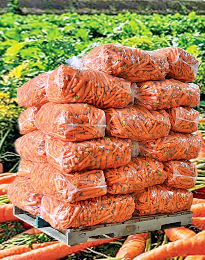 carrot_king_of_india