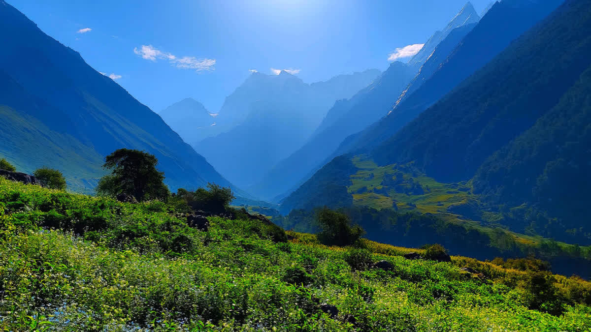 Valley of Flowers in Uttarakhand