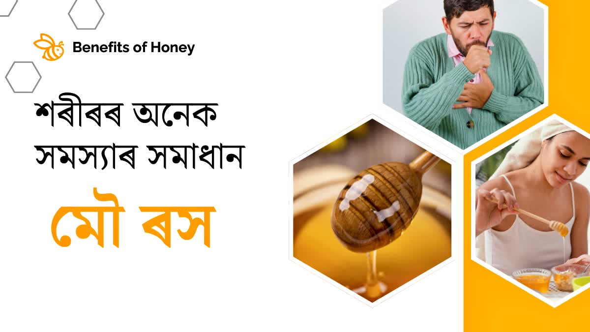 The Healing Power of Honey