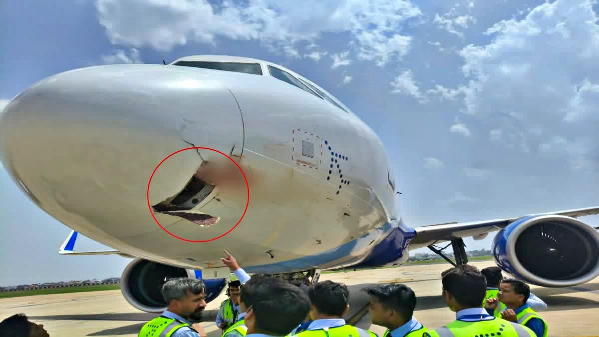 safe landing made after bird hit airplane coming from Patna to Ranchi