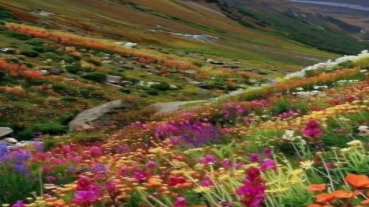 Valley of Flowers in Uttarakhand