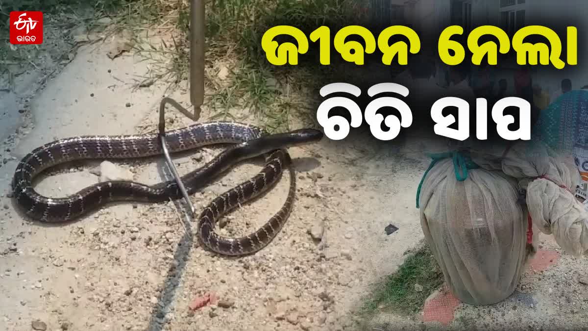 Minor Girl Dies in snake bite in Mayurbhanj