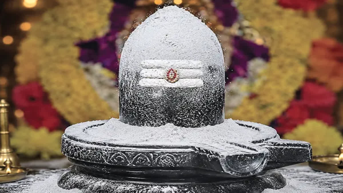 Shiva vibudi