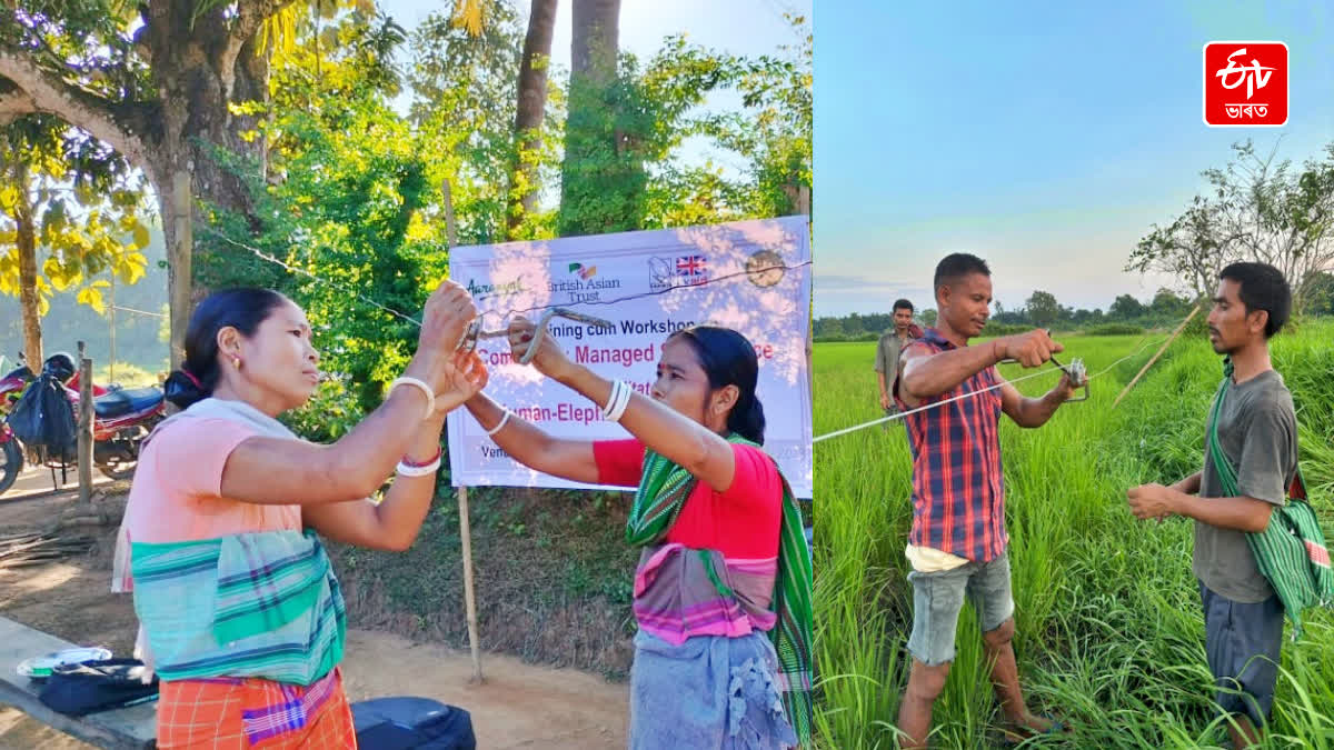 special measures taken by aaranyak to prevent man elephant-conflict in assam and Meghalaya