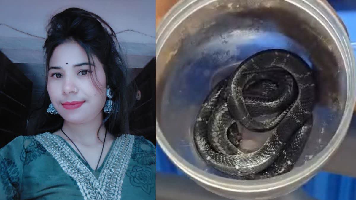 सांप काटने से युवती की मौत