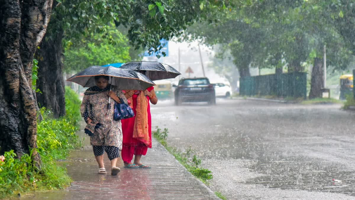 IMD WEATHER FORECAST