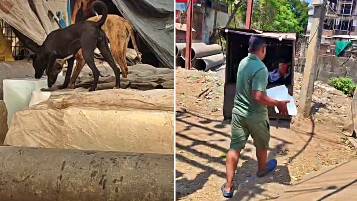 DOG LICKED ICE SELLING IN BHOPAL KAZI CAMP AREA