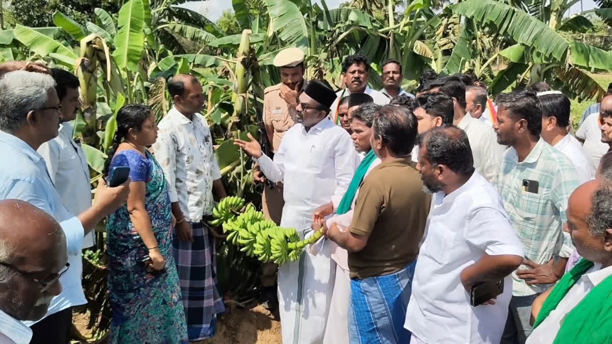 பாதிக்கப்பட்ட விவசாயிகளுக்கு ஆறுதல் கூறிய அமைச்சர் ஏஎம் ஷாஜஹான்