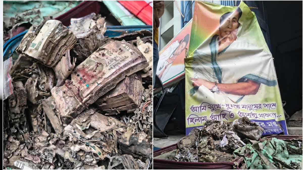 Termite-Eaten Cash Worth Several Lakh Recovered From Kolkata's Surendranath College