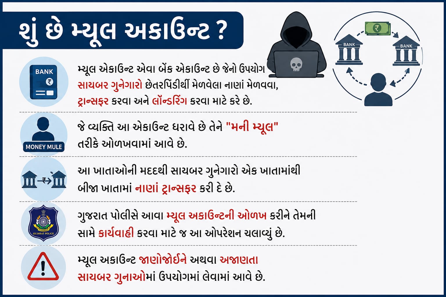 ઓપરેશન મ્યૂલ હન્ટ 1.0
