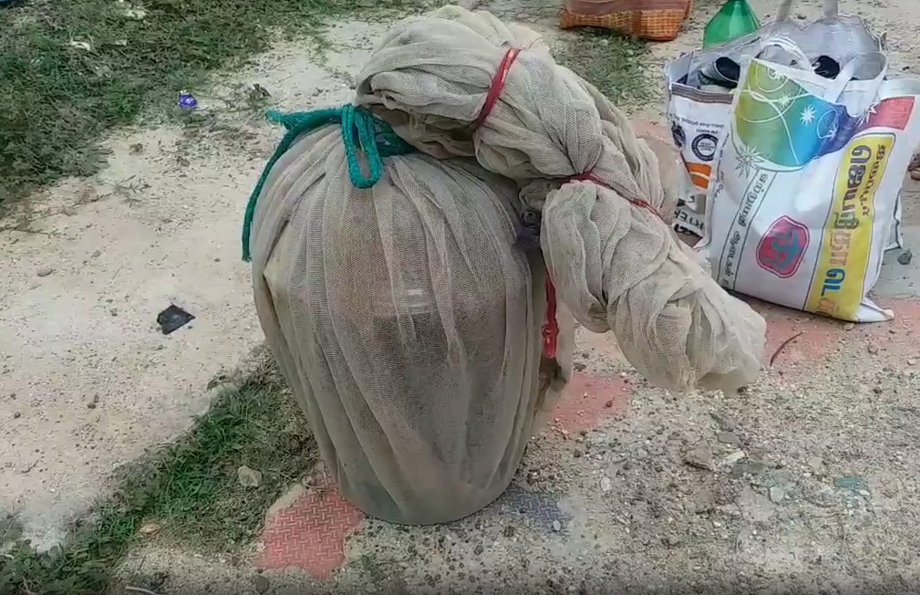 Minor Girl Dies in snake bite in Mayurbhanj