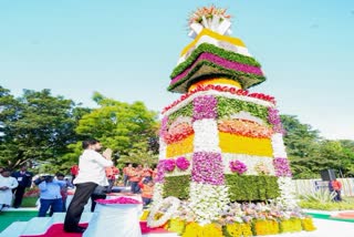 Telangana Formation Day celebrations