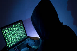 Cyber Fruad