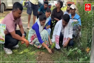 world environment day 2026