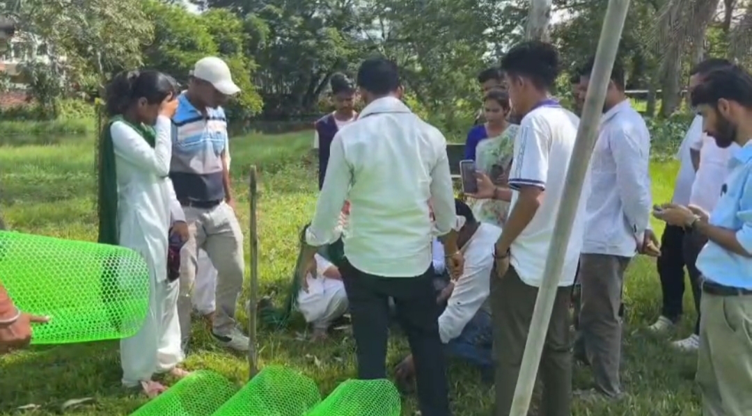 world environment day 2026