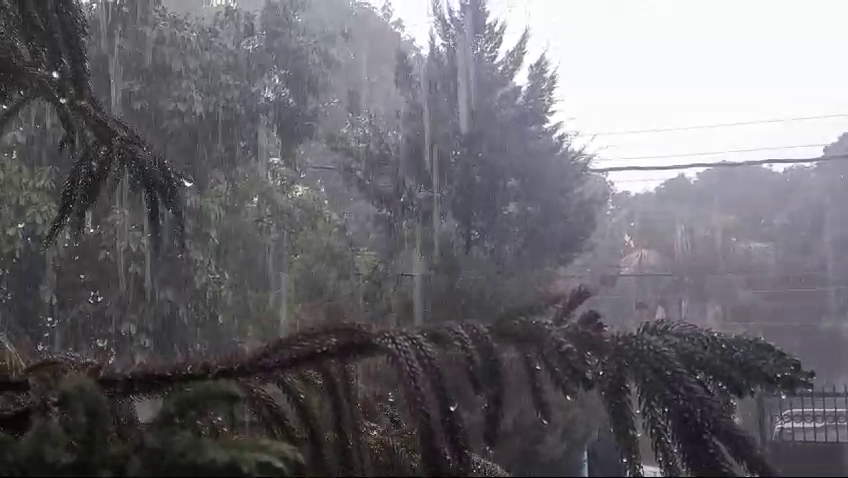 Rain in Uttarakhand