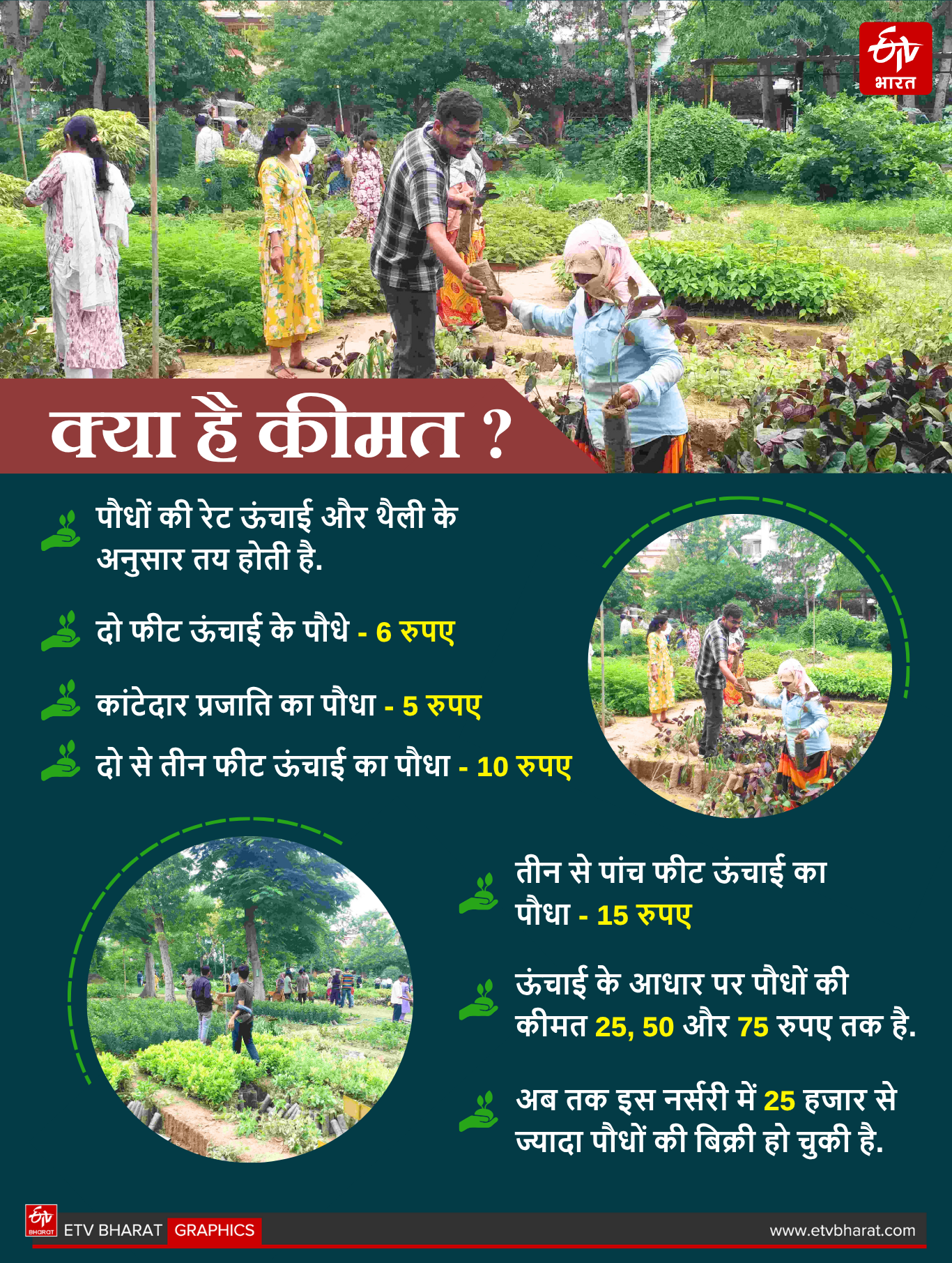 क्या है कीमत