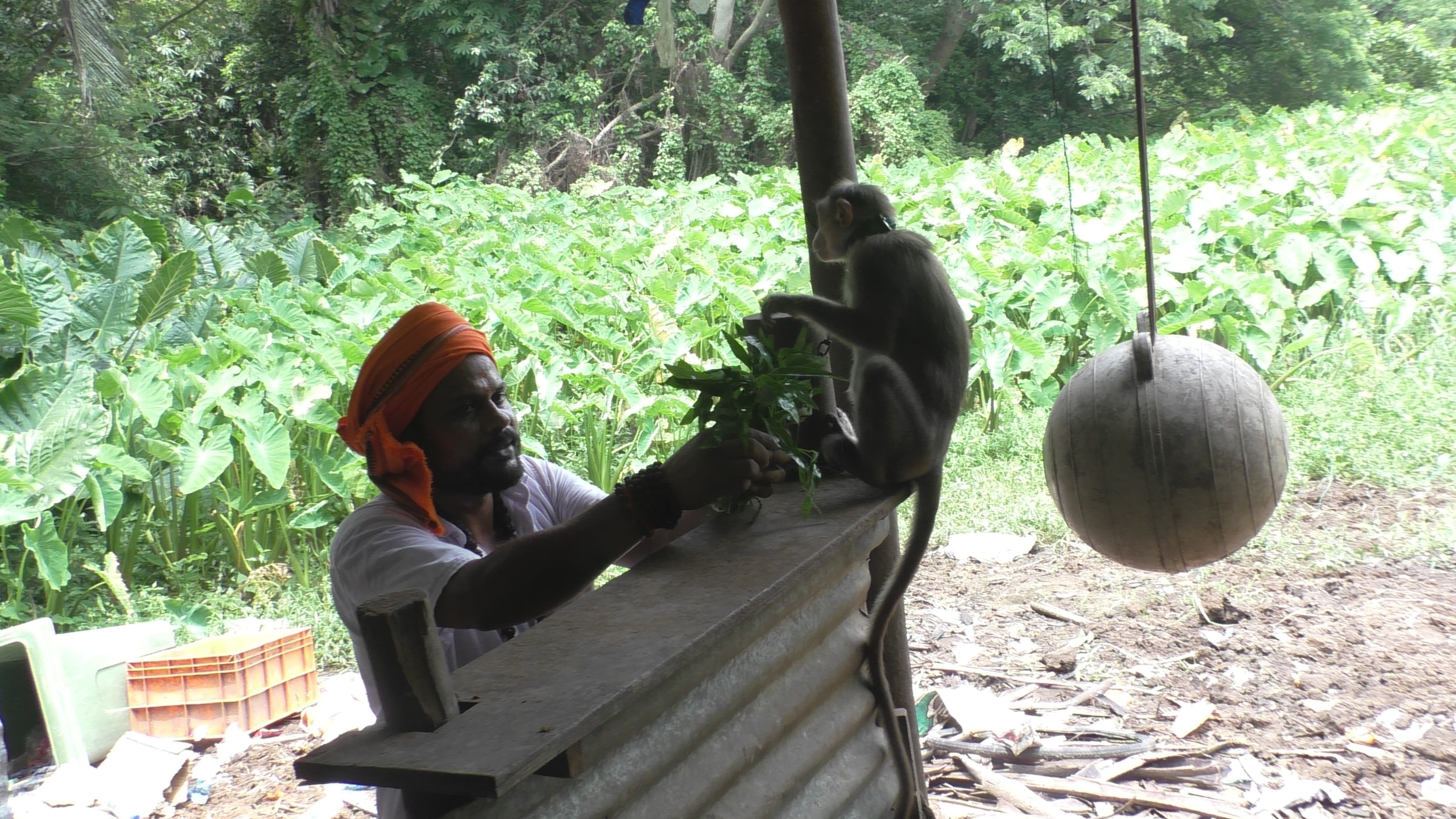 A Voice For The Speechless: Odisha Sarpanch Rescues And Rehabilitates Injured Animals