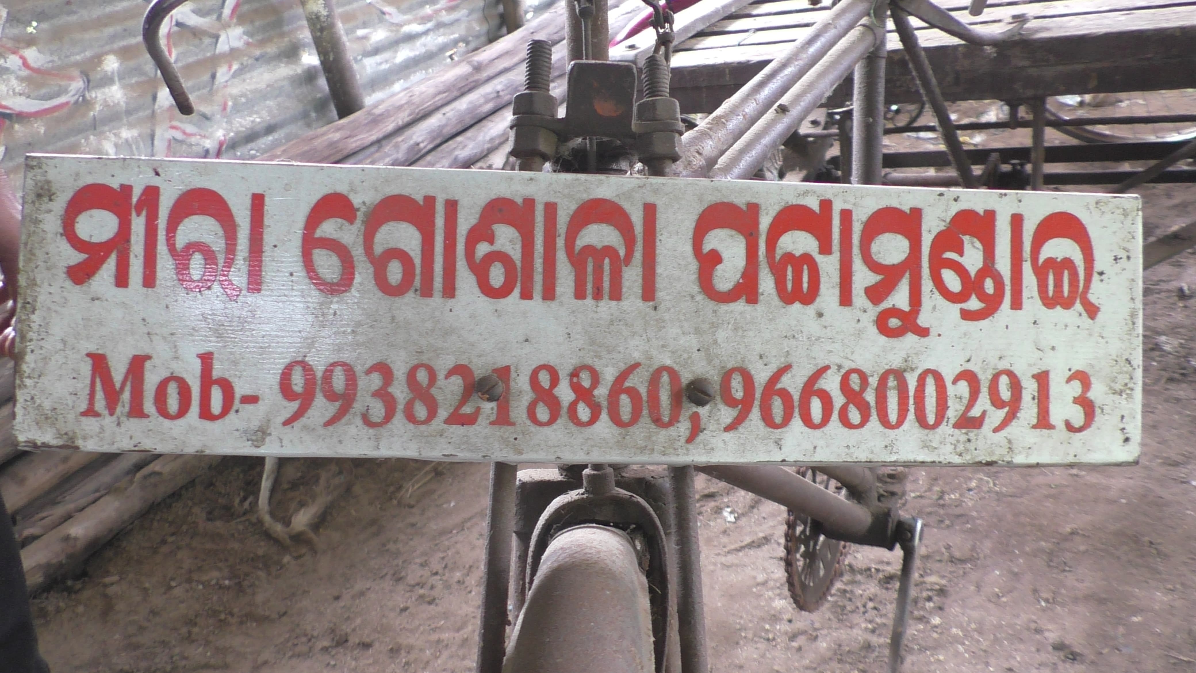 A Voice For The Speechless: Odisha Sarpanch Rescues And Rehabilitates Injured Animals